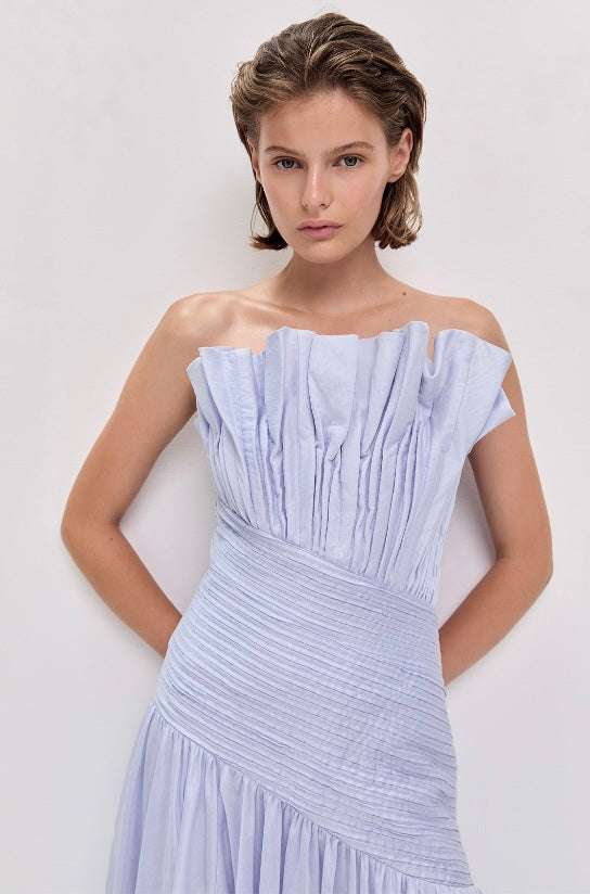 Aquiline Gown
